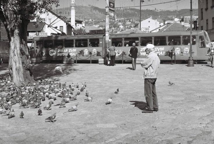 308823_2447865563374_1896099385_n