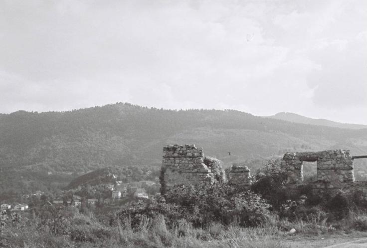 315561_2447868323443_1693294776_n