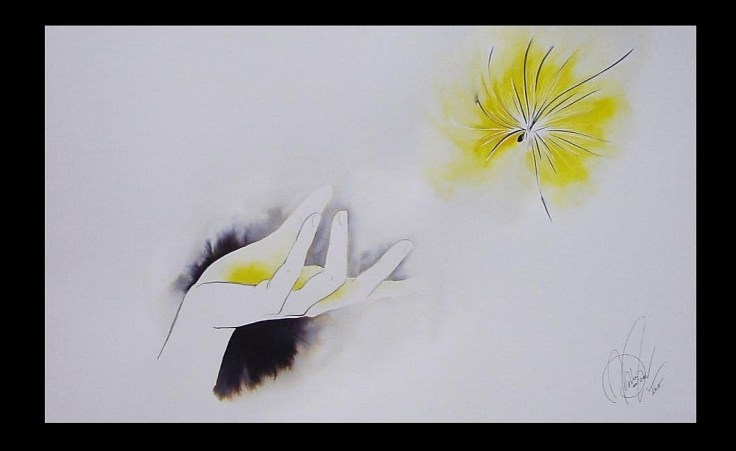 Una estrella ©Masha Davidov