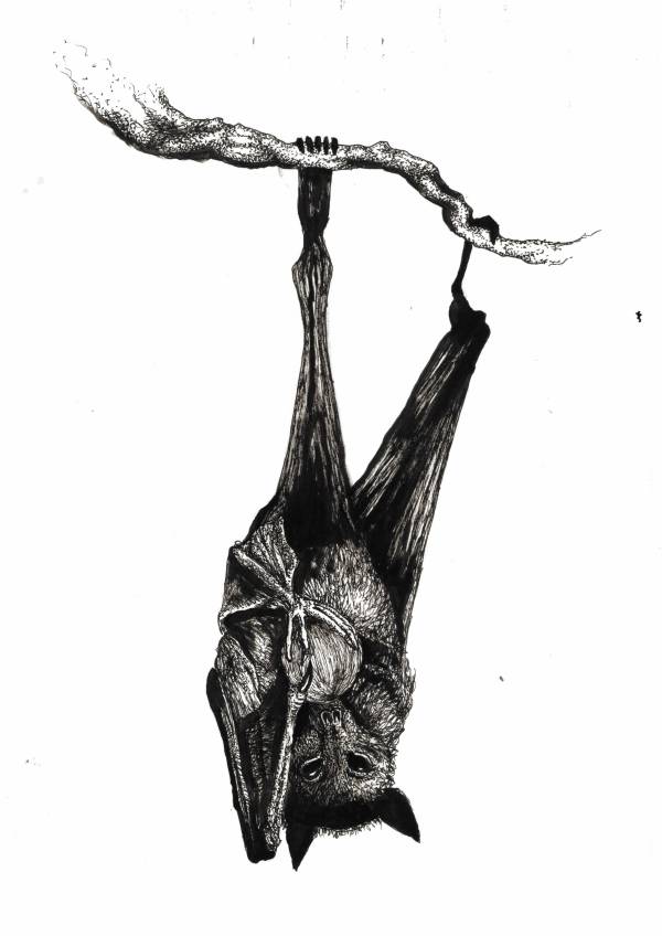 Skeniranje_20160509 (32)