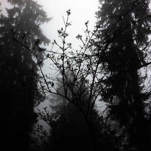 nerma+sofic+melancholia+06