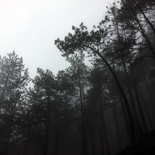 nerma+sofic+melancholia+08