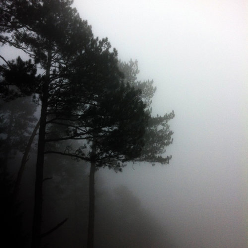 nerma+sofic+melancholia+09