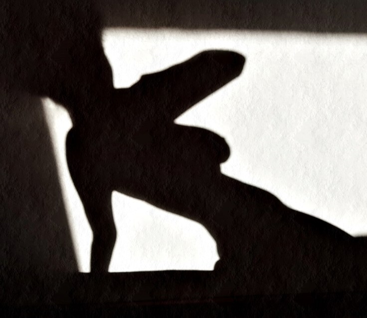 Svemir su sjene koje padaju na zid6©Nora Jesenski