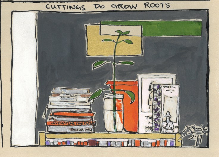 Cuttings do grow roots